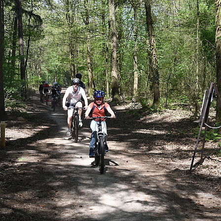 Kinderen en ouders fietsen op een mountainbikeroute in het bos